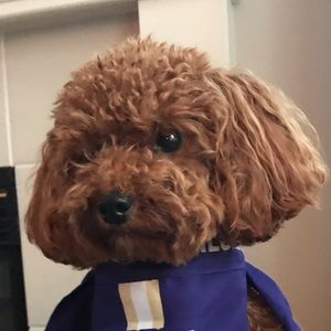 Meet your Posher, Richard